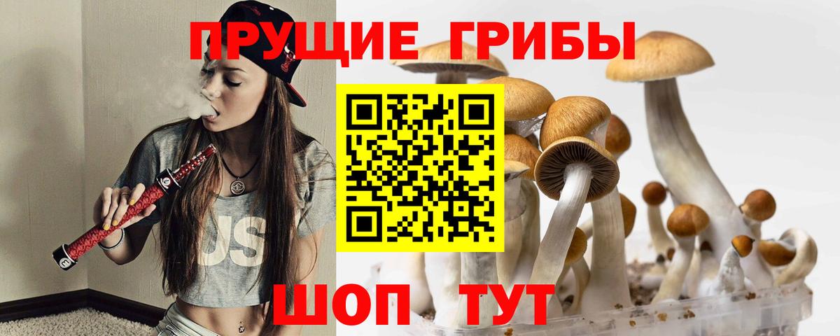 Галлюциногенные грибы мухоморы Полевской